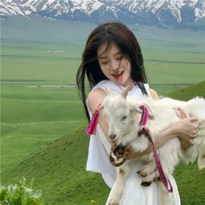 青山是故乡